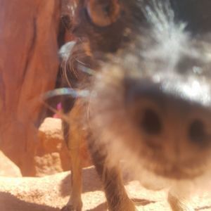 Meet your Posher, Judy